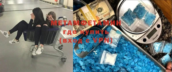 ПСИЛОЦИБИНОВЫЕ ГРИБЫ Михайлов