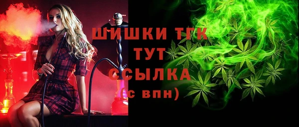 стафф Медвежьегорск