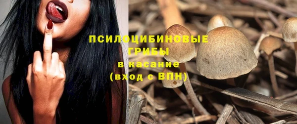 ПСИЛОЦИБИНОВЫЕ ГРИБЫ Михайлов